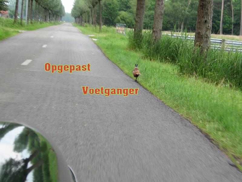 2de Taxandriarit op 6juni 2010, georganiseerd door de Fam. Daamen (130).jpg